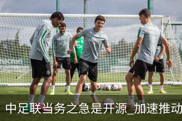 中足联当务之急是开源 加速推动中国足球职业化